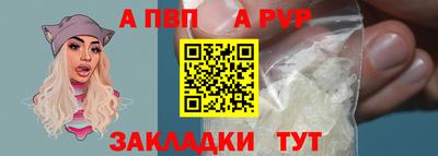 шишки Кингисепп
