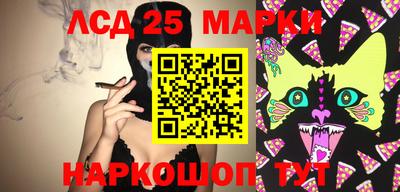 шишки Кингисепп