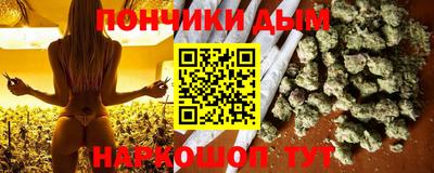 шишки Кингисепп