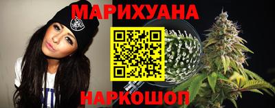 шишки Кингисепп