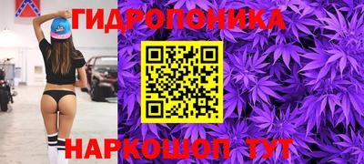 шишки Кингисепп
