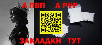 шишки Кингисепп